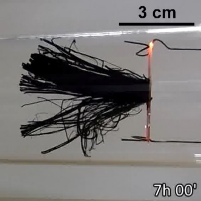 Imagen del momento en el que se crea un bosque de nanotubos de carbono