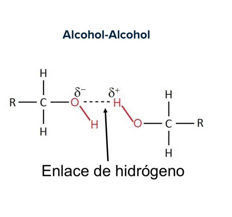 Enlace de hidrógeno_La conexión atómica_OrganycArt