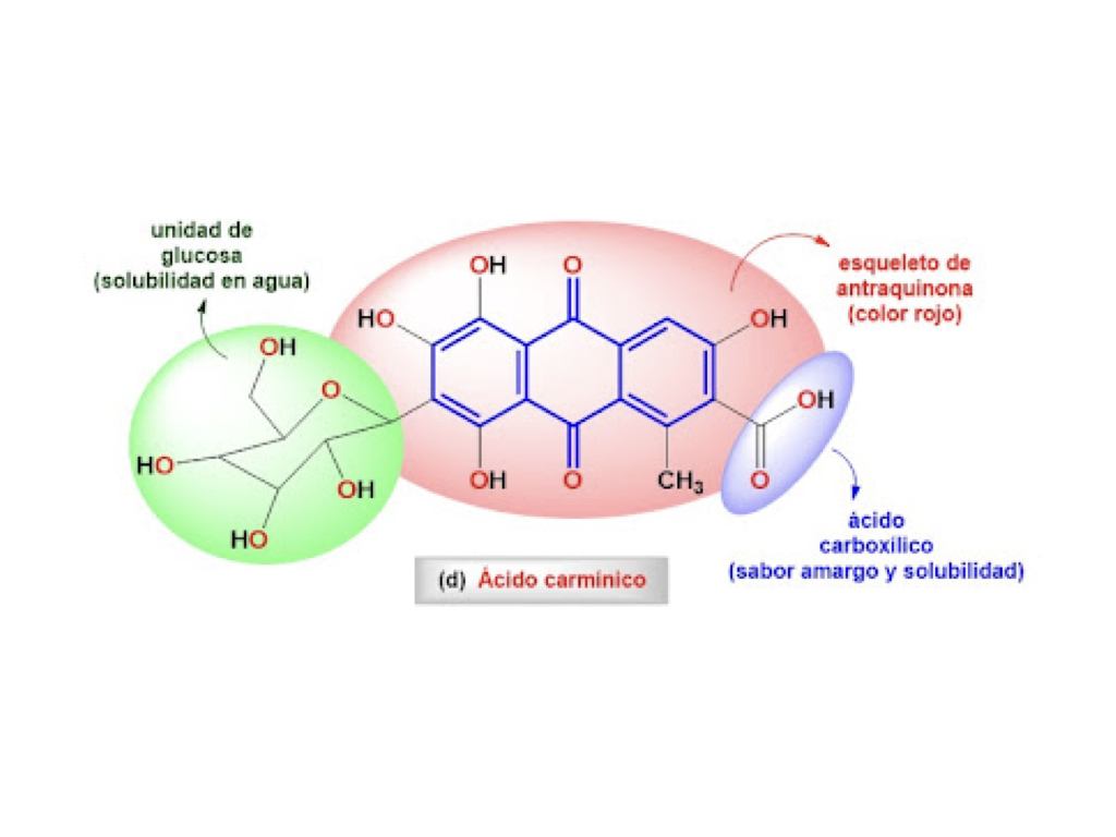 Estructura molecular del ácido carmínico_OrganycArt